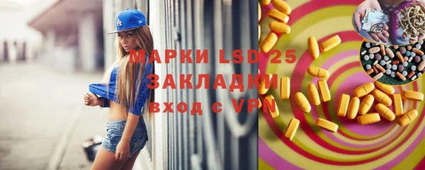 spice Алзамай