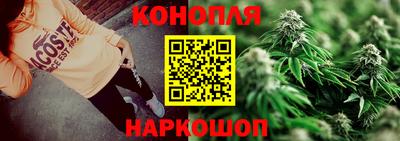 гидра Краснодар