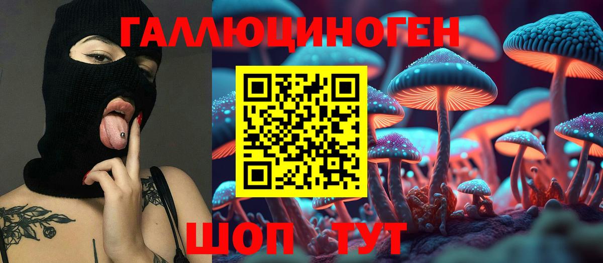 Псилоцибиновые грибы прущие грибы Одинцово