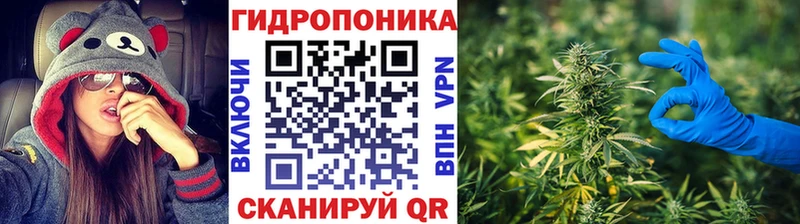 Бошки Шишки семена  Одинцово 